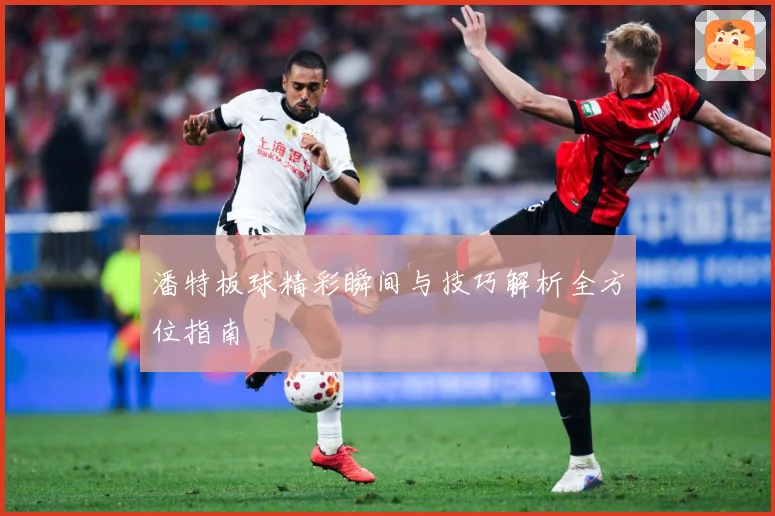 潘特板球精彩瞬间与技巧解析全方位指南