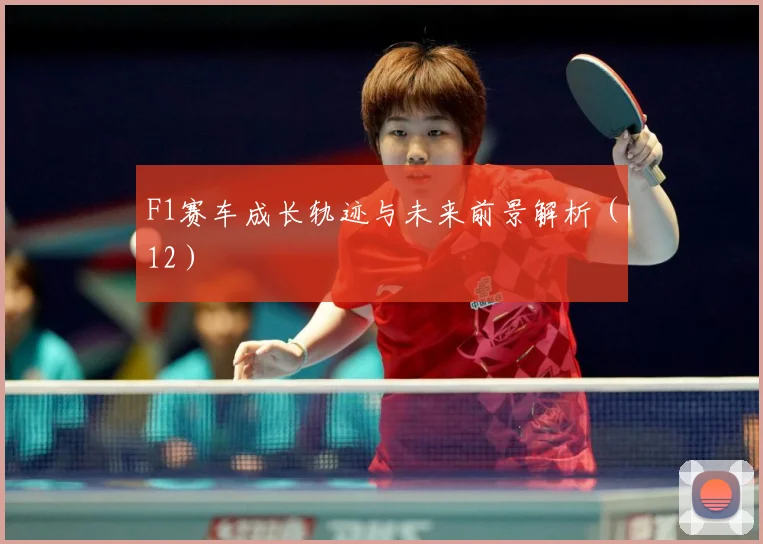 F1赛车成长轨迹与未来前景解析（12）